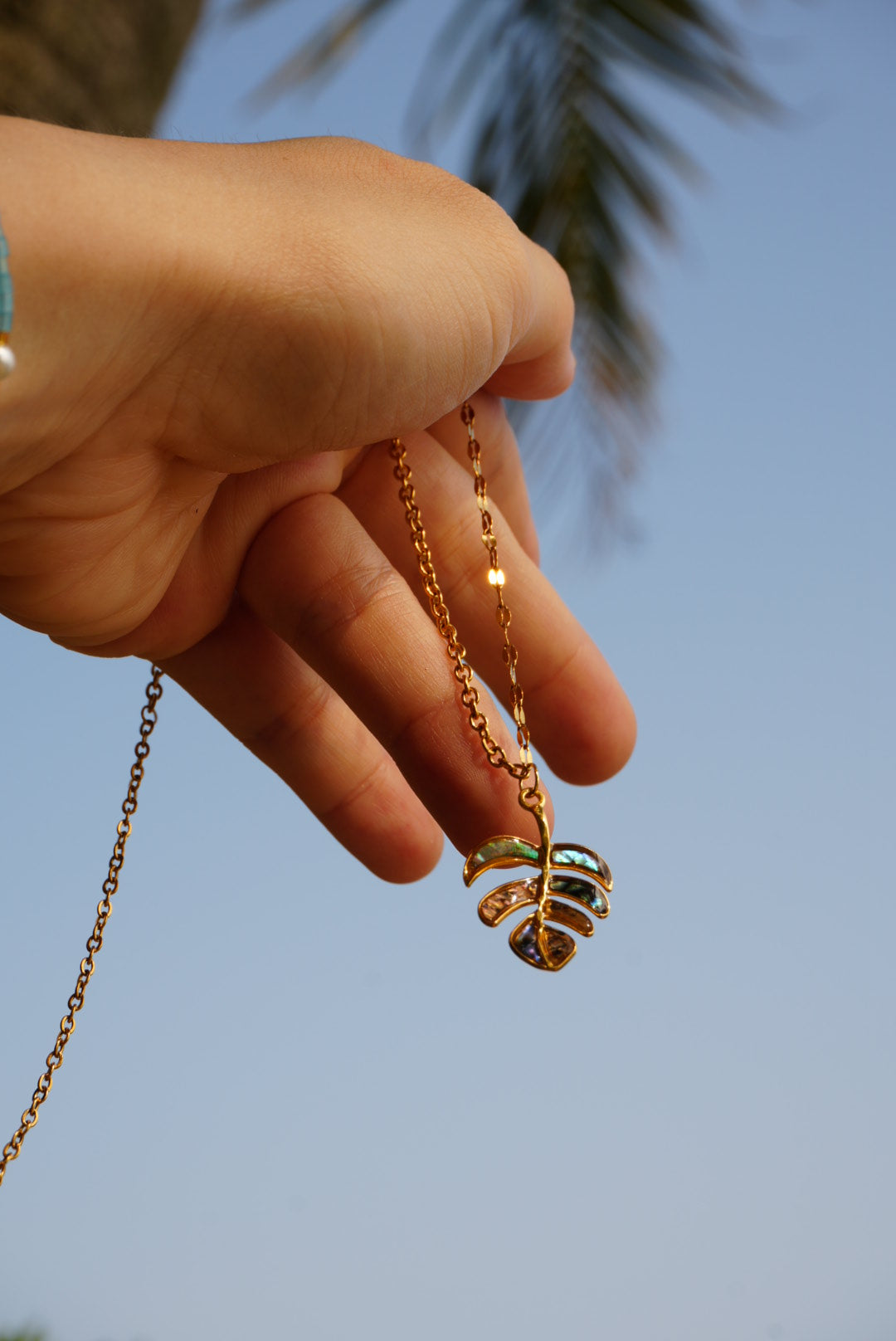 Abalone Shell Necklace (2 designs)