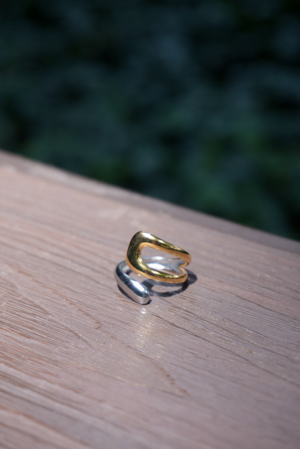 Duotone Stainless Steel Rings (7 designs)