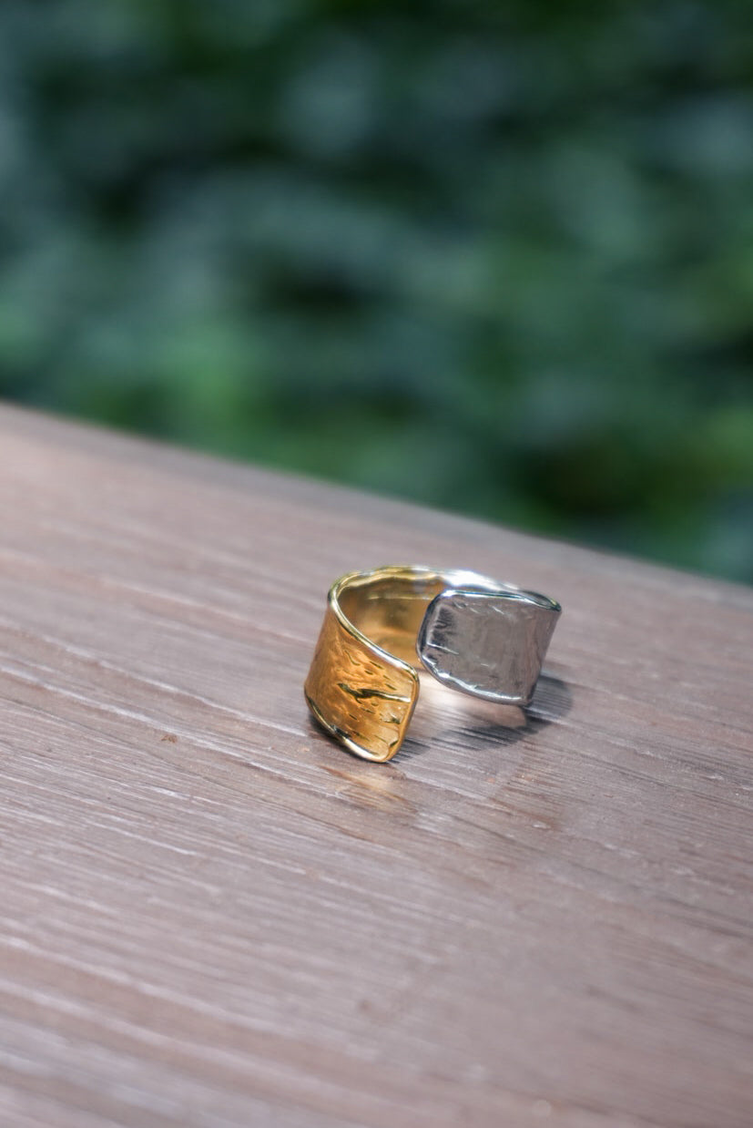 Duotone Stainless Steel Rings (7 designs)