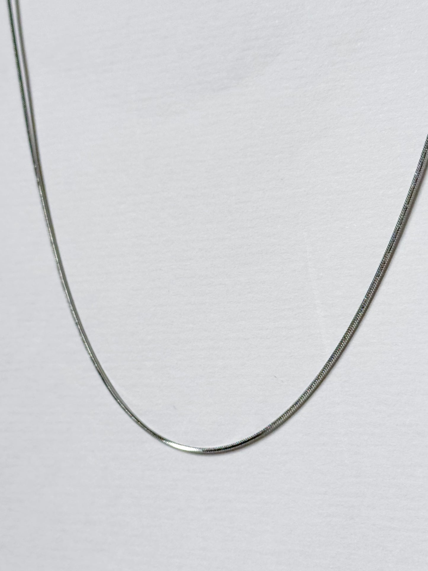 Silver Snake Chain Necklace