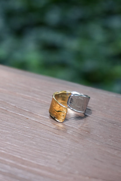 Duotone Stainless Steel Rings (7 designs)