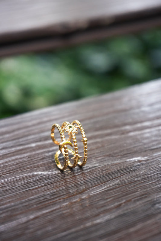 18k Gold Stainless Steel Rings (7 designs)