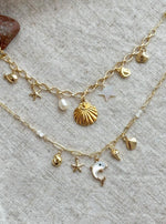 Load image into Gallery viewer, Multi-charm necklace
