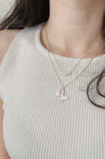 Load image into Gallery viewer, Psyche Duo Chain Layered Necklace
